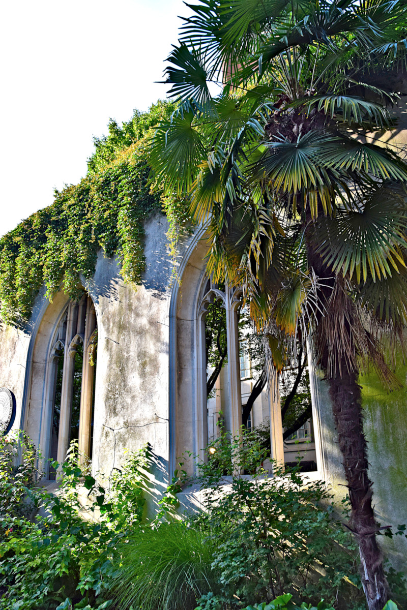 Wall and plants of St. Dunstan in the East