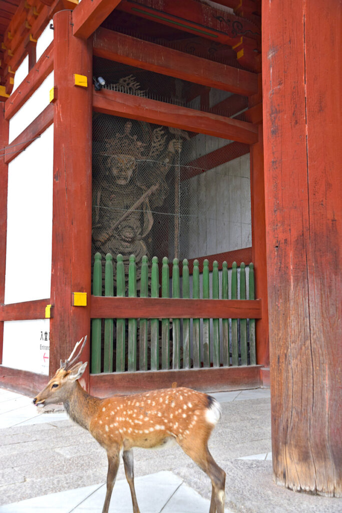 Deer near a statue at Todai-ji Temple