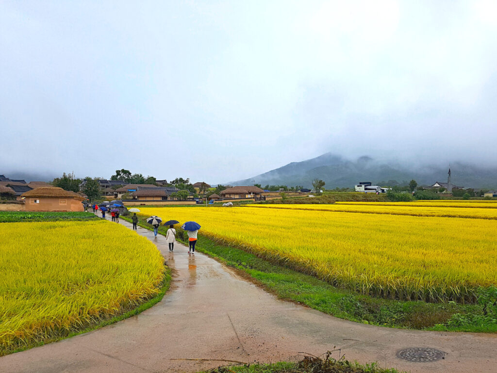 Tourists walking around