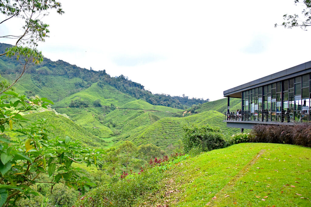 Cafe overlooking the hills at the Boh Tea Plantation, a must-see for a Cameron Highlands weekend trip