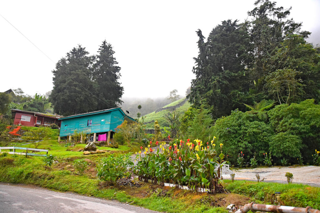 A blue building in the Cameron Highlands