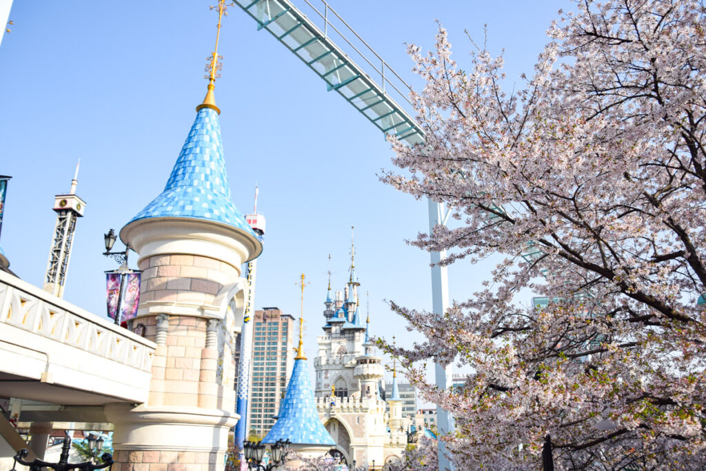 Cherry blossom tree near Lotte World's Magic Island