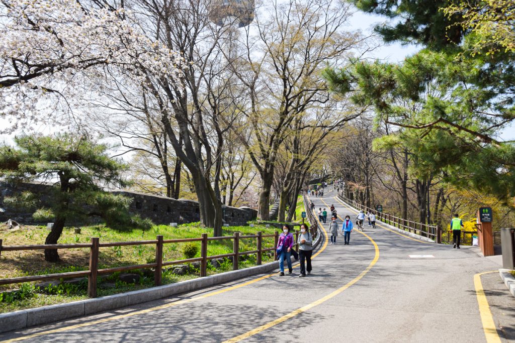 The road up Namsan in Seoul